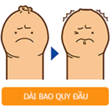 dai bao quy dau