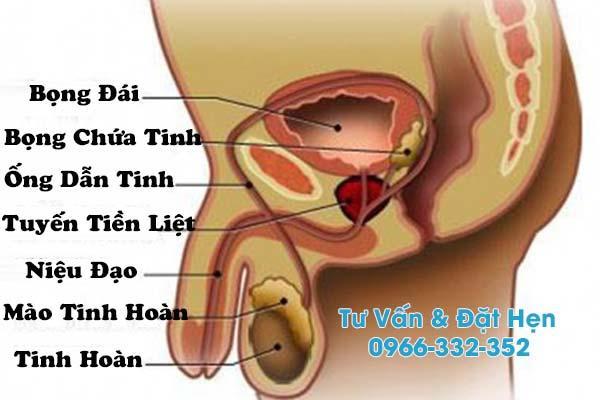 viêm túi tinh