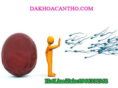Gay vo sinh o nam gioi