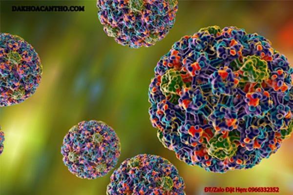Virus HPV