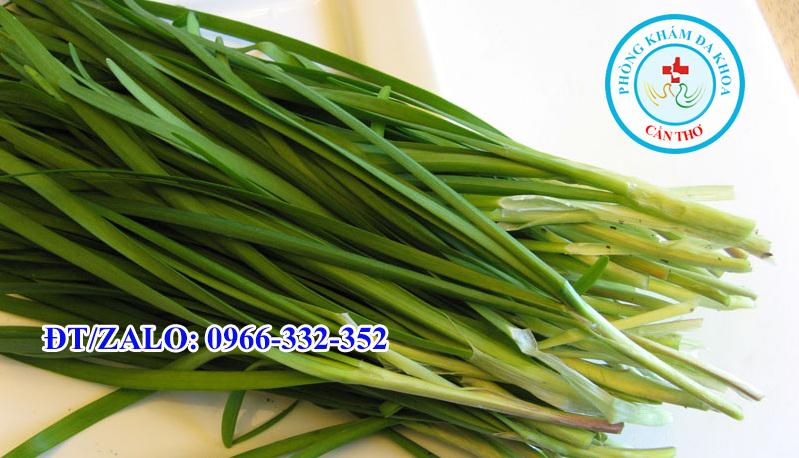 Cây Hẹ - Kháng Sinh Thiên Nhiên Thần Kỳ