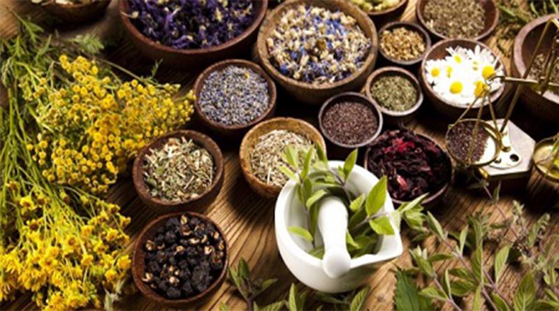 Bệnh Trĩ Điều Trị Bằng Đông Y Có Tốt Không?