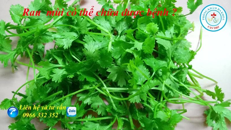 Bài thuốc chữa bệnh từ rau mùi