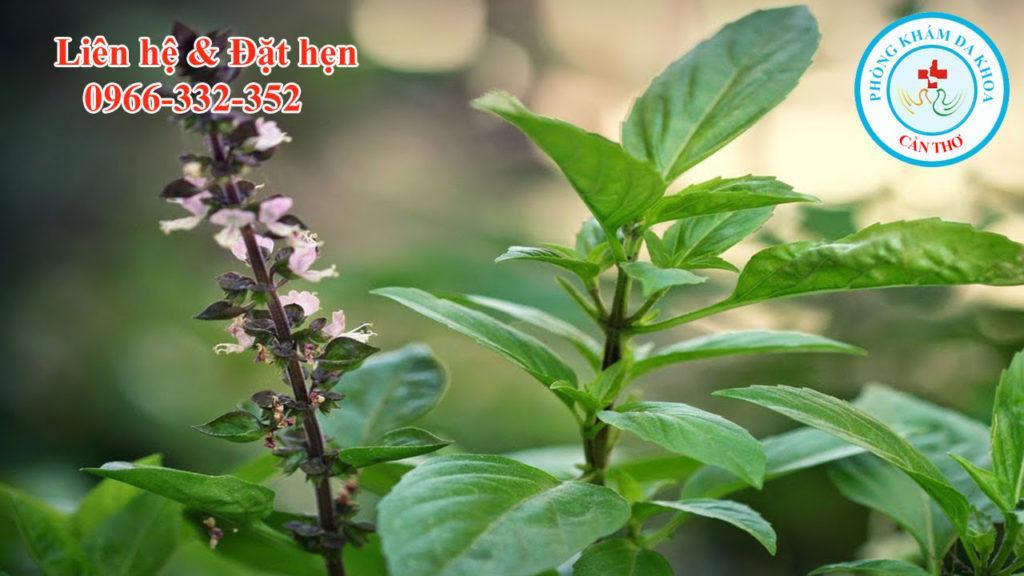 hung-que-giup-giam-dau-hong (2)