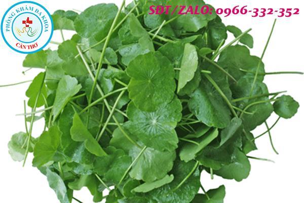 phá thai bằng rau má