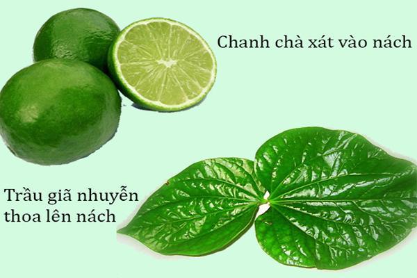 Chữa hôi nách bằng lá trầu không kết hợp với chanh tươi