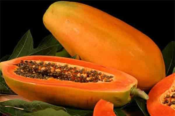 Đu đủ chữa trị chứng táo bón