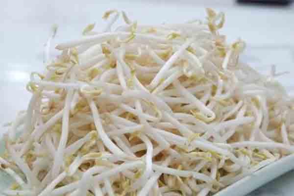 Giá đỗ chữa trị táo bón