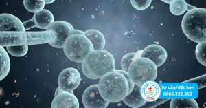 Nấm candida gây bệnh