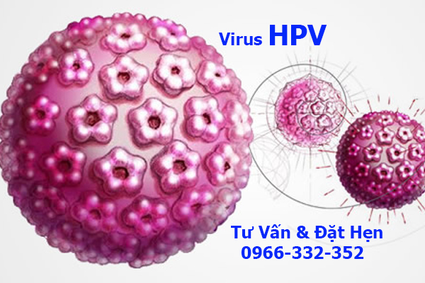 "HPV
