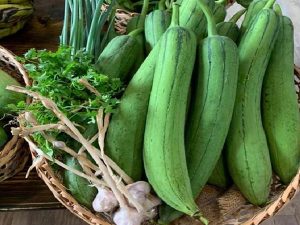 Các công dụng của quả mướp