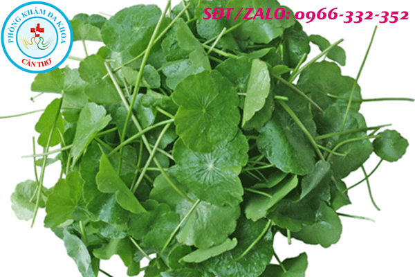 phá thai bằng rau má