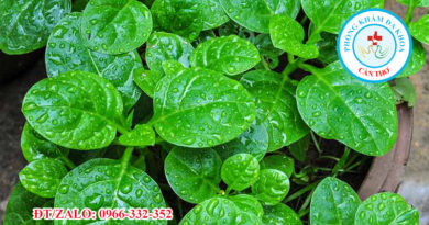 rau-mong-toi-va-nhung-cach-chua-benh-don-gian