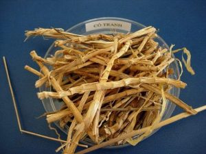 Rễ cỏ tranh trị bệnh