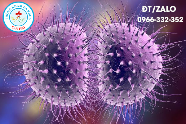 vi khuẩn gây bệnh lậu