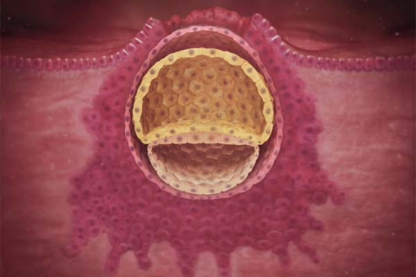 Phôi thai 3 tuần tuổi