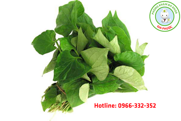 ăn rau diếp cá sống trị bệnh trĩ